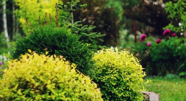 plant-nursery-04