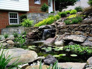 pond1_x3101
